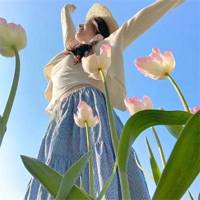 当猪起飞 海报